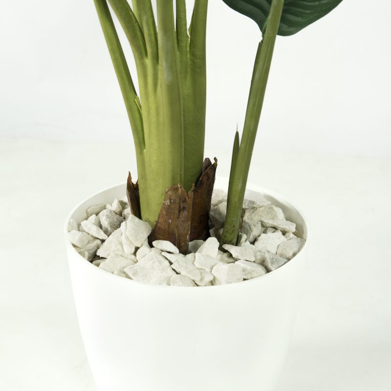 Fraga 59480 Federmäppchen – 21 Cm, Mehrfarbig, Mit Reißverschluss, Für Kinder/Jugendliche